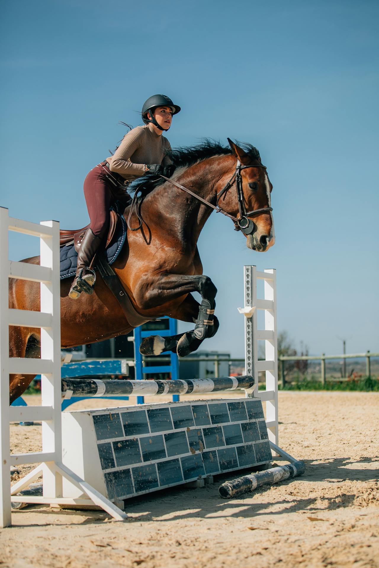 Course de chevaux